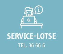 Grafik Service-Lotse
