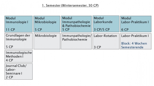 1. Semester Master Immunologie