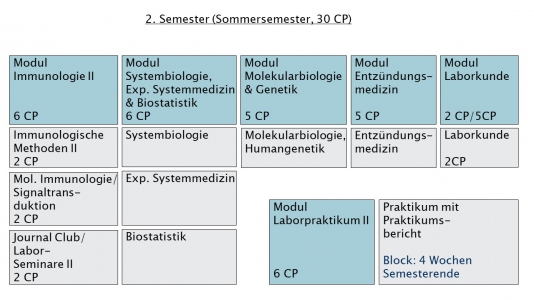 2. Semester Master Immunologie