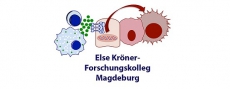 Das Else Kröner-Forschungskolleg im Überblick