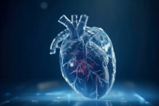pulse-image-2-3D-heart-model.jpeg
