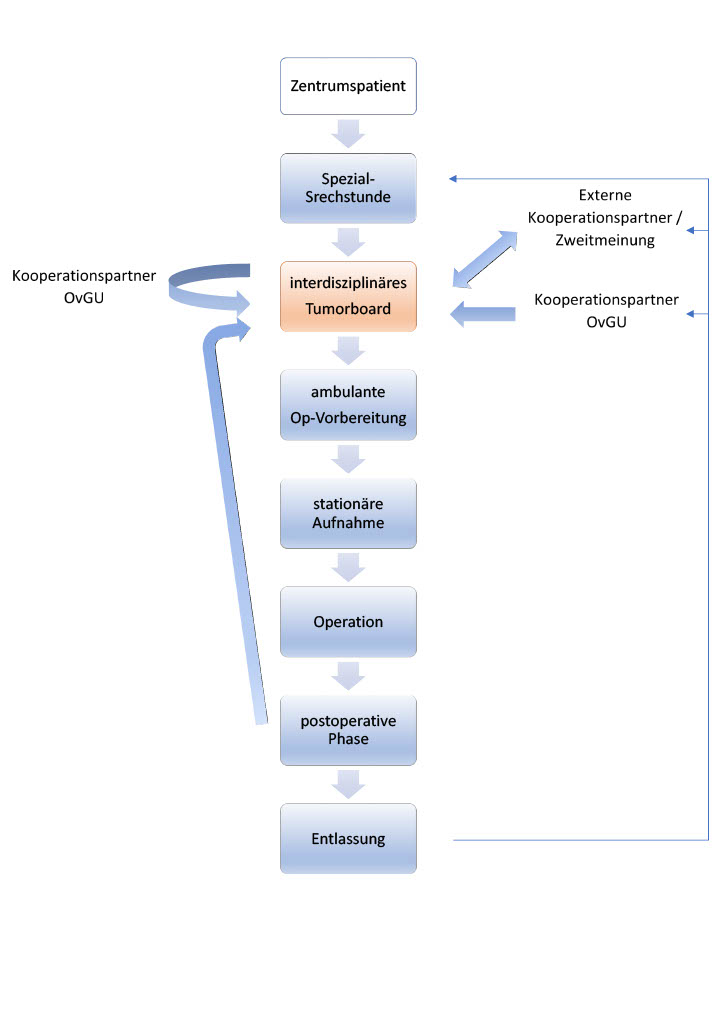 Viszeralonkolog.Workflow1024_1