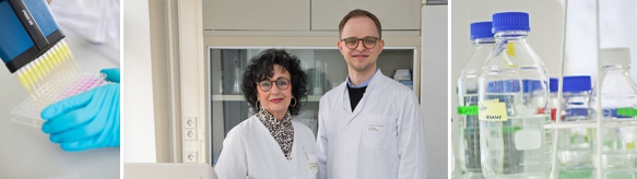 MEDIZINISCHE FAKULTÄT | UNIVERSITÄTSKLINIKUM MAGDEBURG