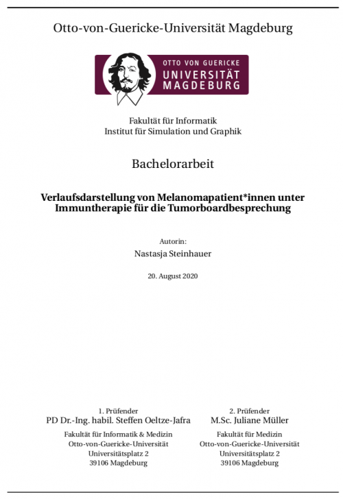 Bachelorarbeit Steinhauer