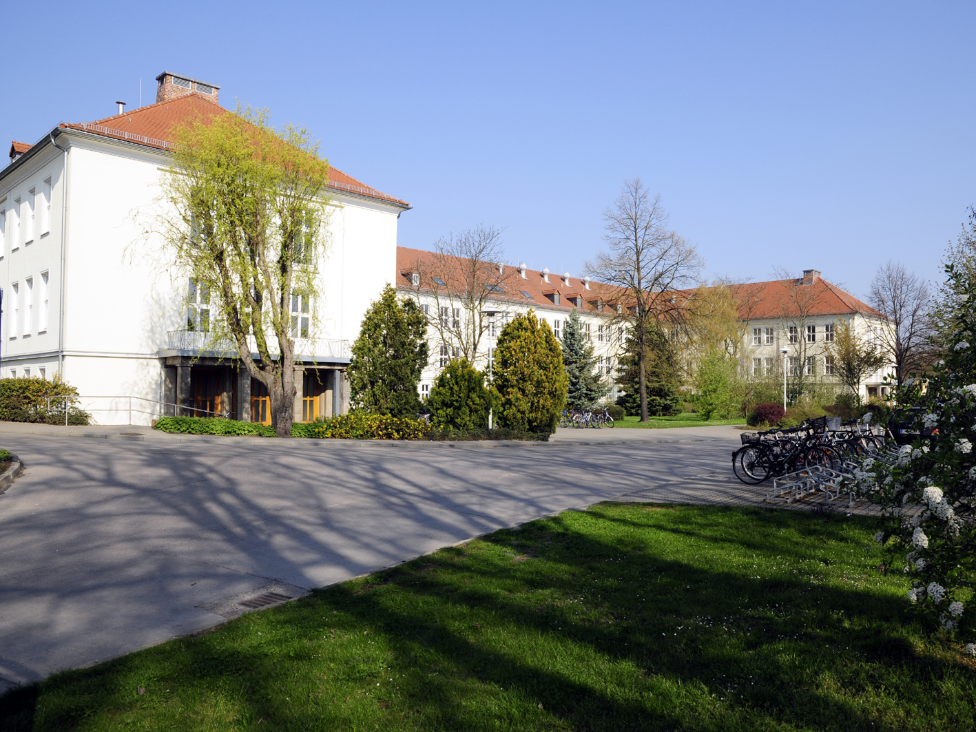 Medizinische Fakultat Universitatsklinikum Magdeburg A O R Hauser