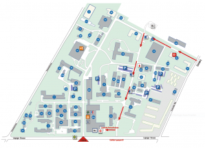Medizinische Fakultät/Universitätsklinikum Magdeburg A. ö ...